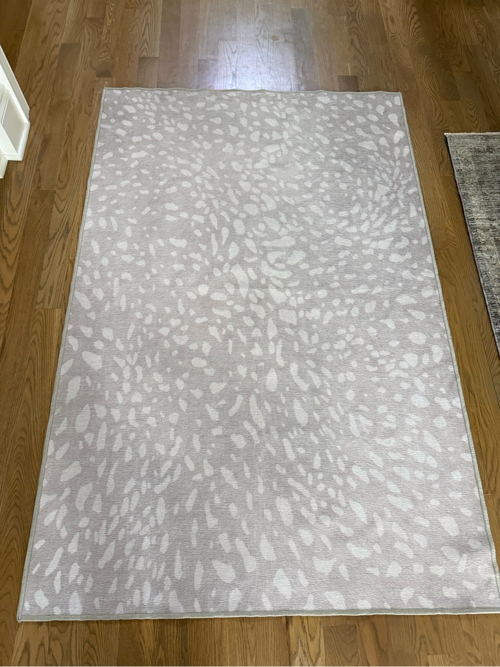 Ruggable 4 x6 rug (pad not included)